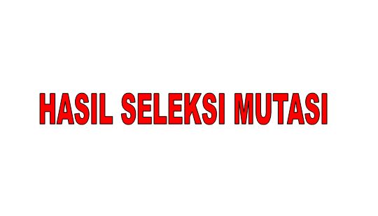 DAFTAR NILAI CALON SISWA MUTASI KELAS X TAHUN 2023